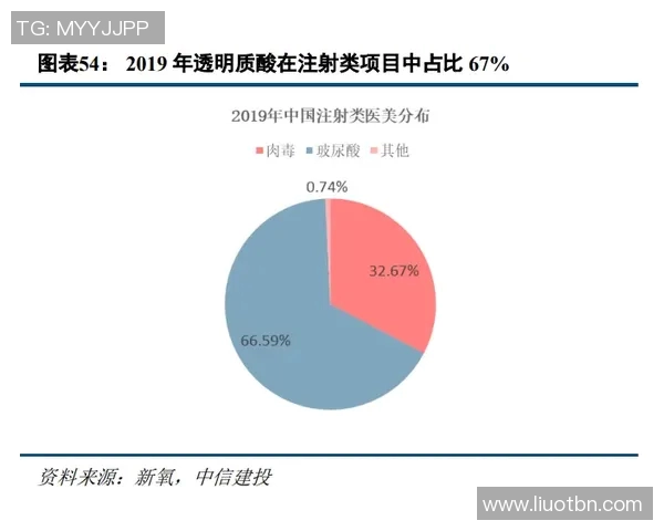 独家解析西安排球队团队协作模式的差异与优势分析MBA